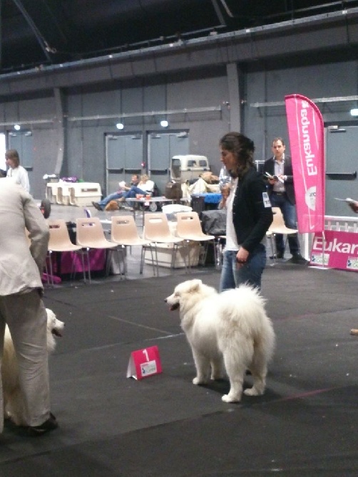 Du Domaine Du Val D'Aillon - Exposition Bourg en bresse le 15 février 2014